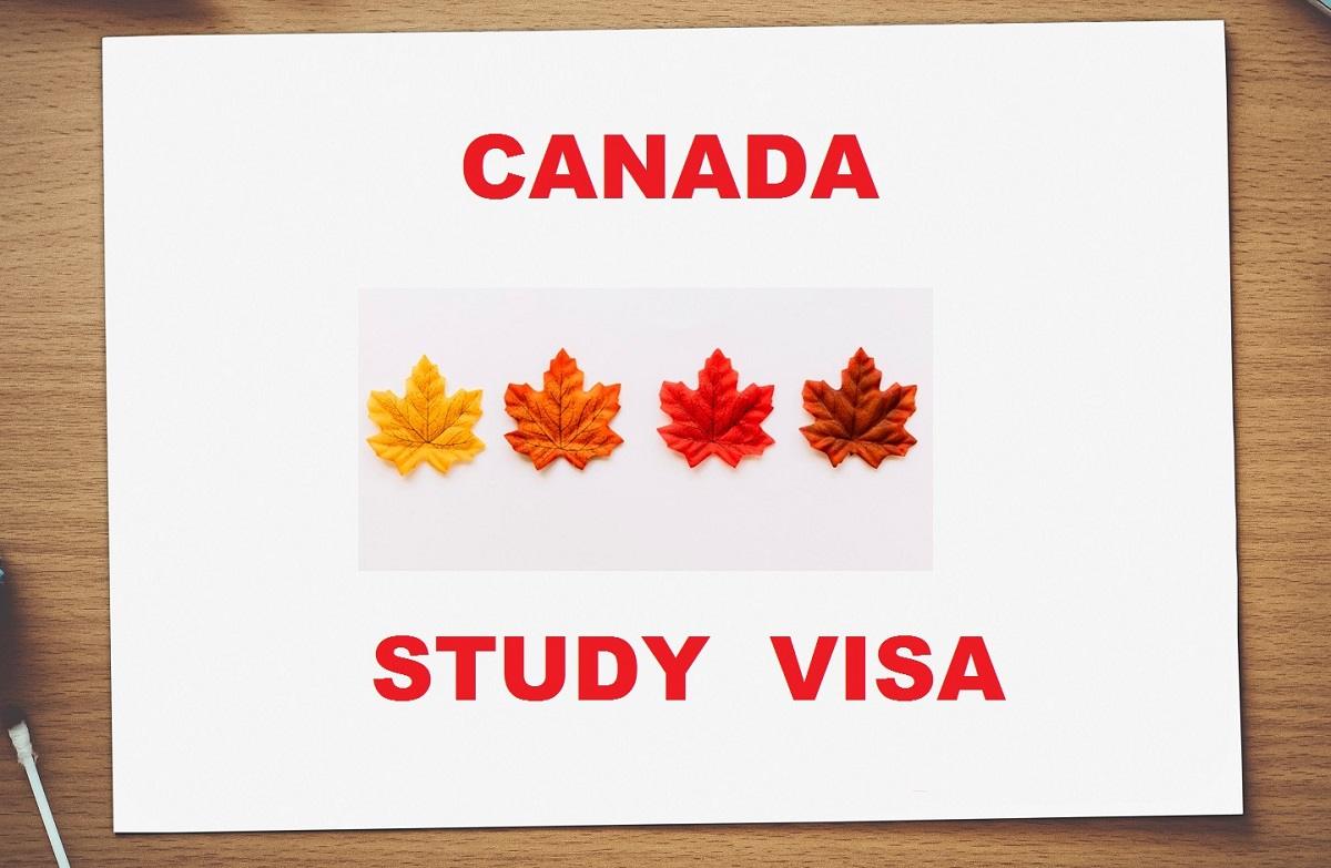 آیا در کانادا می‌توان حین تحصیل کار کرد