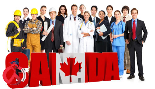 پردرآمدترین و بهترین شغل های مورد نیاز کانادا چیست؟(آپدیت 2023)