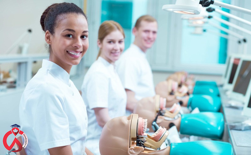 شرایط تحصیل دندانپزشکی در کانادا چیست؟ (راهنمای2023)